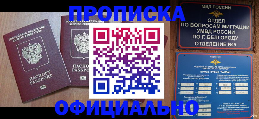 найти адрес прописки в Приволжске